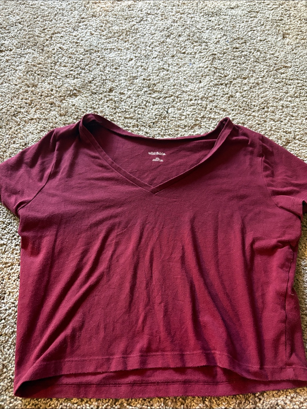 wild fable Burgundy V-Neck Crop Tee